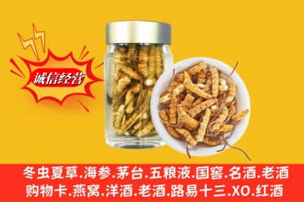 恩施州咸丰县回收散虫草