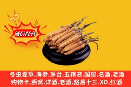 恩施州咸丰县高价上门回收虫草多少钱每克